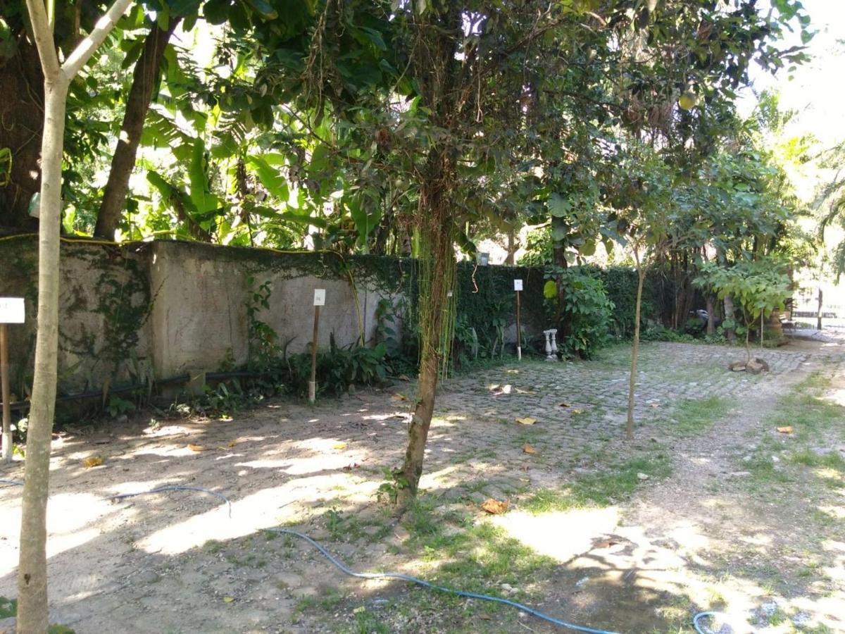Rio Natureza Apart 111 ريو دي جانيرو المظهر الخارجي الصورة